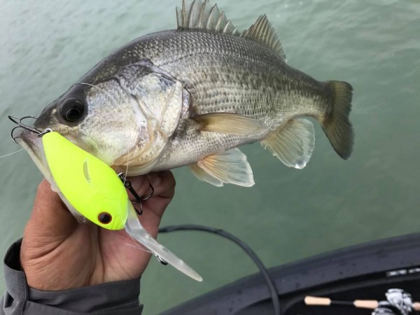 hideup 永野総一朗 ブログ写真 2017/10/27