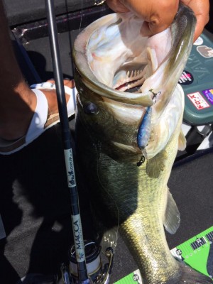 hideup 永野総一朗 ブログ写真 2017/09/01