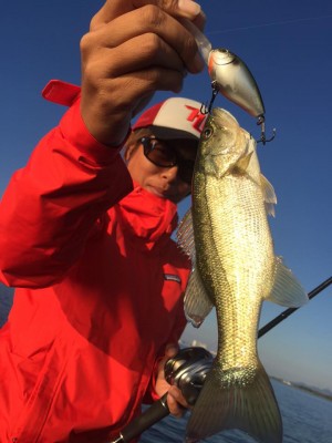 hideup 永野総一朗 ブログ写真 2015/10/16