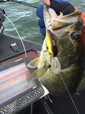 hideup 永野総一朗 ブログ写真 2016/12/19