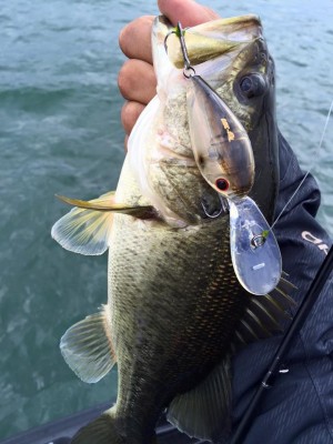 hideup 永野総一朗 ブログ写真 2016/03/18