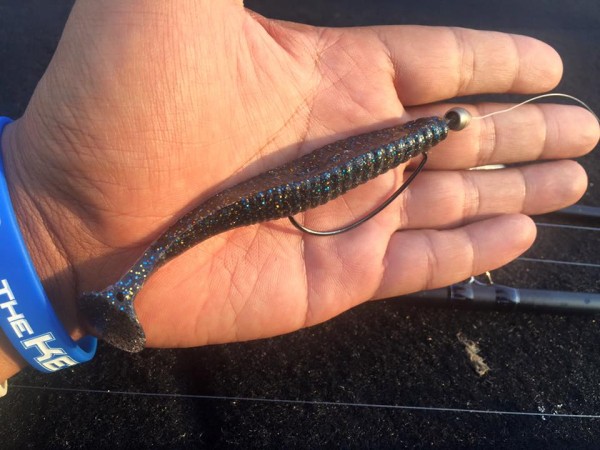 hideup 永野総一朗 ブログ写真 2016/09/03