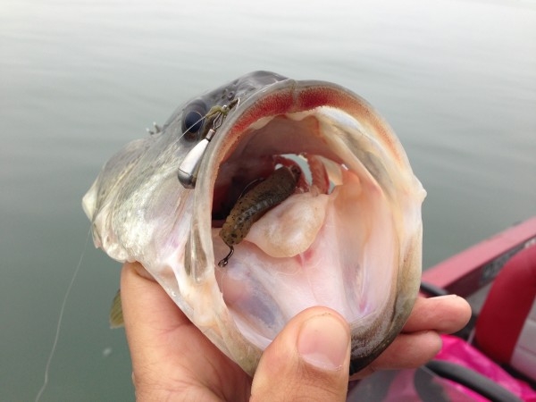 hideup 永野総一朗 ブログ写真 2013/04/02