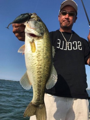 hideup 永野総一朗 ブログ写真 2017/06/20