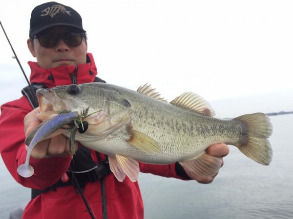 hideup 永野総一朗 ブログ写真 2016/11/09