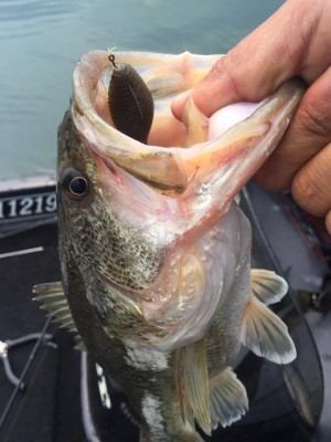 hideup 永野総一朗 ブログ写真 2017/05/01