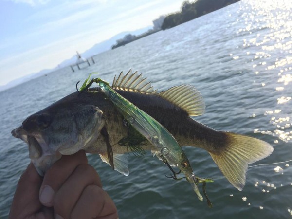 hideup 永野総一朗 ブログ写真 2016/10/15