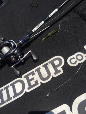 hideup 永野総一朗 ブログ写真 2017/05/06