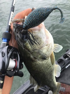 hideup 永野総一朗 ブログ写真 2017/07/06