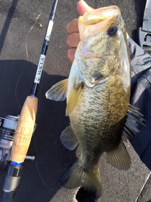 hideup 永野総一朗 ブログ写真 2016/03/27