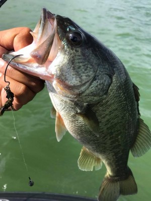 hideup 永野総一朗 ブログ写真 2017/08/05