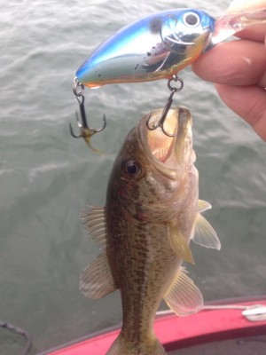 hideup 永野総一朗 ブログ写真 2015/04/01