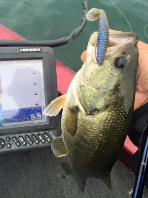 hideup 永野総一朗 ブログ写真 2015/11/07