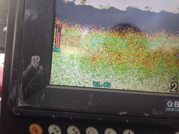 hideup 豌ｸ驥守ｷ丈ｸ譛� 繝悶Ο繧ｰ蜀咏悄 2014/11/18