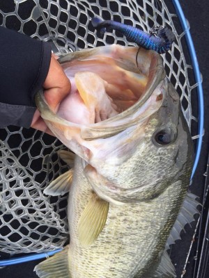 hideup 永野総一朗 ブログ写真 2017/05/01