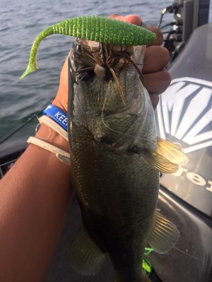 hideup 永野総一朗 ブログ写真 2016/08/02