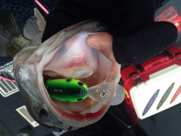 hideup 永野総一朗 ブログ写真 2015/03/07