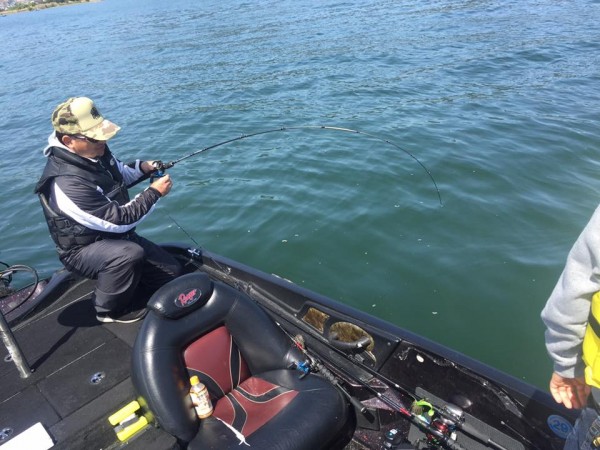 hideup 永野総一朗 ブログ写真 2017/05/03