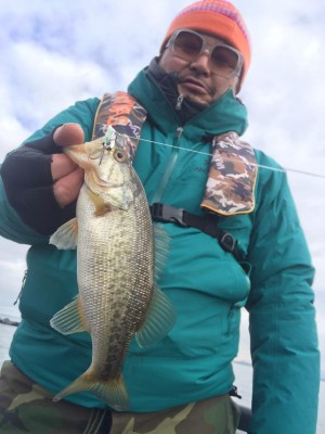 hideup 豌ｸ驥守ｷ丈ｸ譛� 繝悶Ο繧ｰ蜀咏悄 2017/01/26