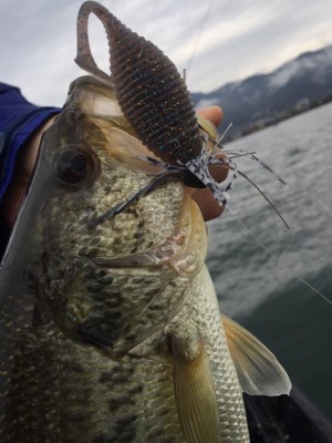 hideup 永野総一朗 ブログ写真 2017/04/09