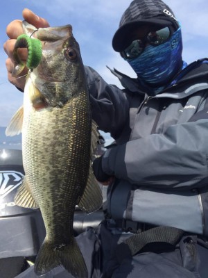 hideup 永野総一朗 ブログ写真 2017/04/17