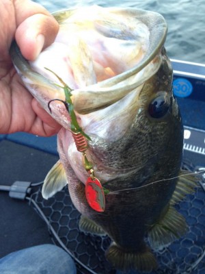 hideup 永野総一朗 ブログ写真 2015/06/12