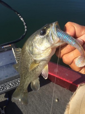 hideup 永野総一朗 ブログ写真 2015/10/23