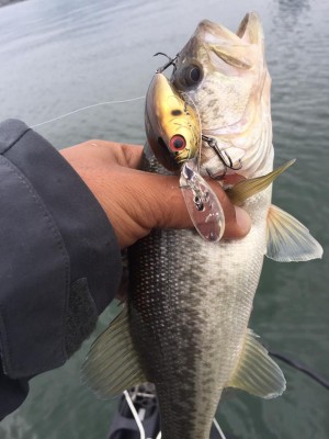 hideup 永野総一朗 ブログ写真 2016/11/09