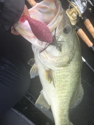 hideup 永野総一朗 ブログ写真 2017/06/22