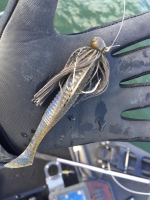 hideup 永野総一朗 ブログ写真 2016/12/02