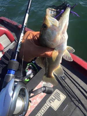 hideup 永野総一朗 ブログ写真 2015/11/21