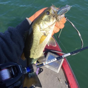 hideup 永野総一朗 ブログ写真 2015/10/07