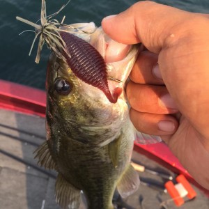 hideup 永野総一朗 ブログ写真 2015/08/03