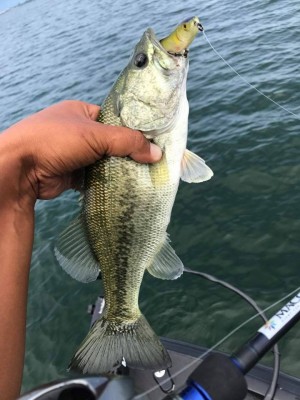 hideup 永野総一朗 ブログ写真 2017/09/05