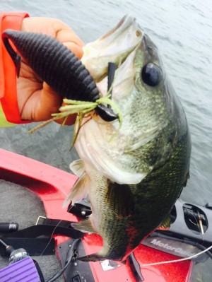 hideup 永野総一朗 ブログ写真 2015/07/09