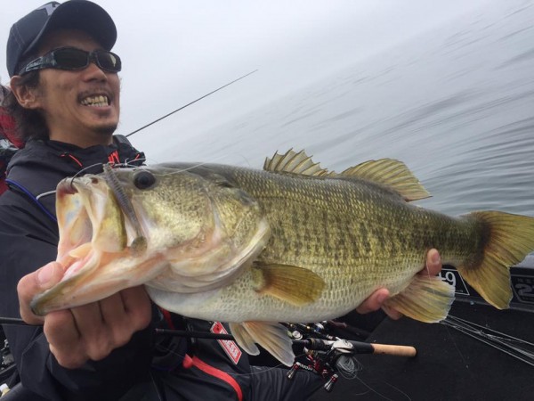 hideup 永野総一朗 ブログ写真 2017/04/08