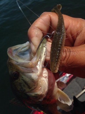 hideup 永野総一朗 ブログ写真 2015/05/07