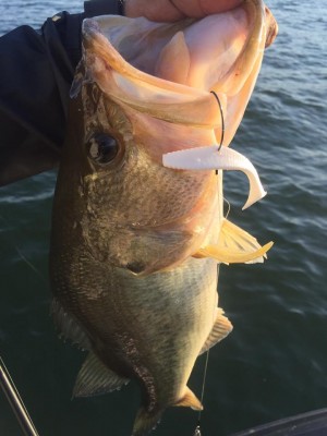 hideup 永野総一朗 ブログ写真 2017/05/19