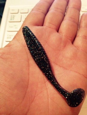 hideup 永野総一朗 ブログ写真 2015/06/01