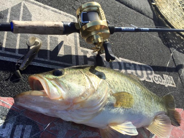 hideup 永野総一朗 ブログ写真 2015/11/11