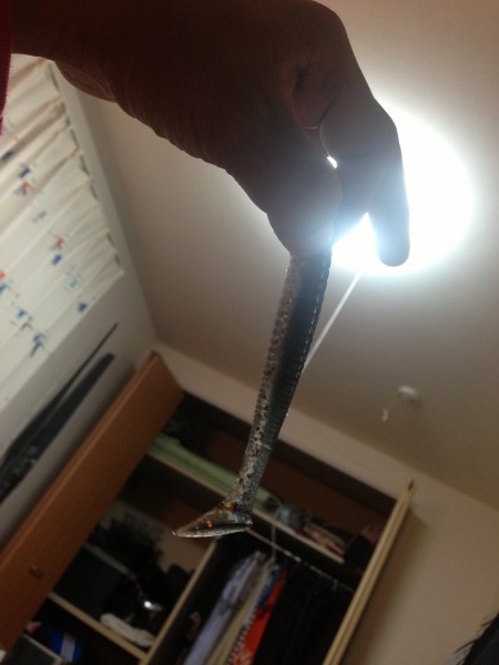 hideup 永野総一朗 ブログ写真 2013/11/09