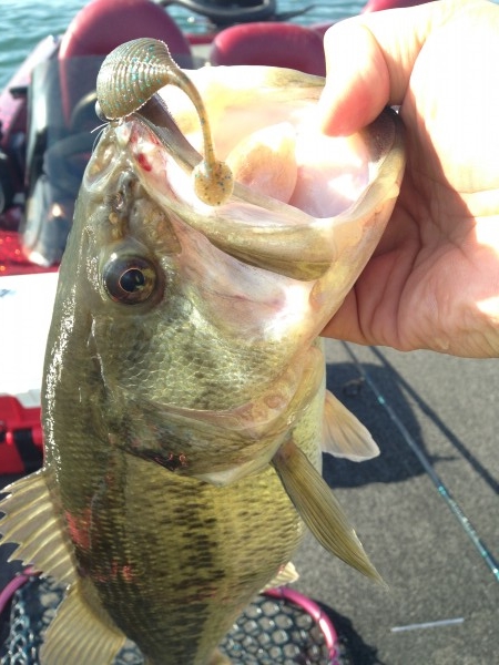 hideup 永野総一朗 ブログ写真 2014/04/17