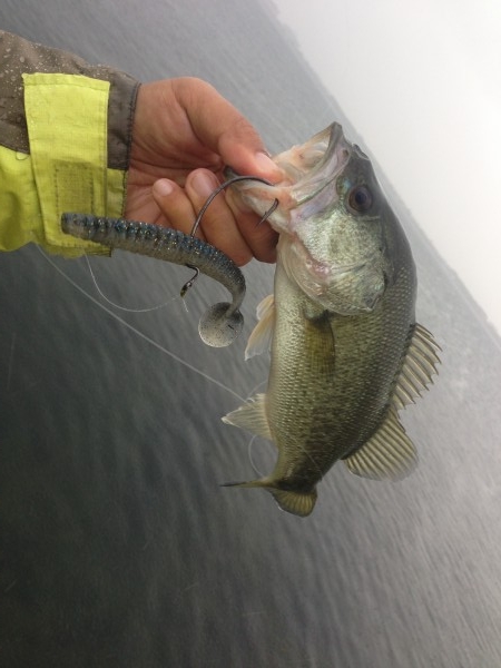 hideup 永野総一朗 ブログ写真 2013/10/09