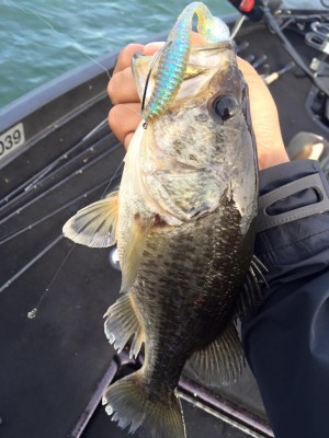 hideup 永野総一朗 ブログ写真 2016/05/13