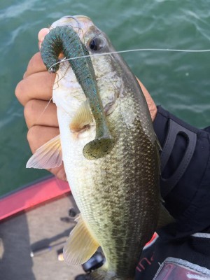 hideup 永野総一朗 ブログ写真 2015/10/10