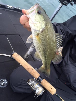 hideup 永野総一朗 ブログ写真 2016/09/13