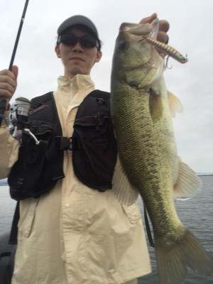 hideup 豌ｸ驥守ｷ丈ｸ譛� 繝悶Ο繧ｰ蜀咏悄 2015/09/01