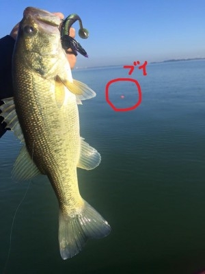 hideup 永野総一朗 ブログ写真 2015/12/06