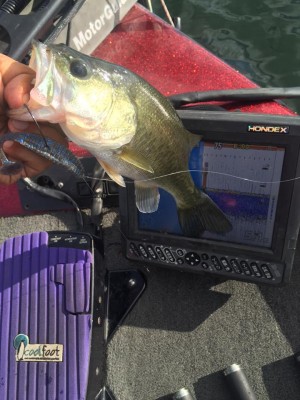 hideup 永野総一朗 ブログ写真 2015/09/19