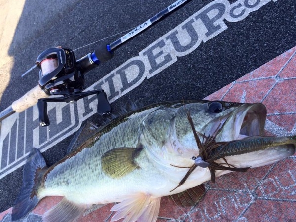 hideup 永野総一朗 ブログ写真 2015/12/12